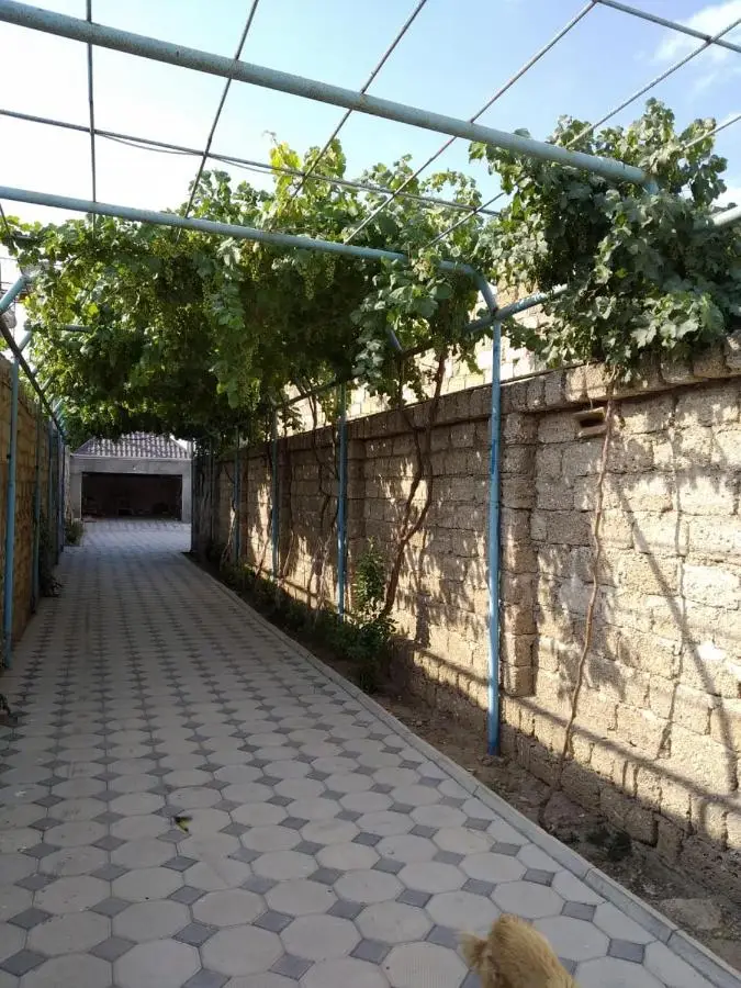 Cozy House in Bina, Bolluq