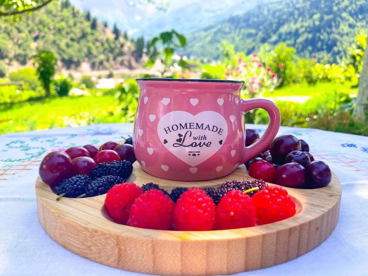 ლენტეხის მთის სასტუმრო - Lentekhi Mountain Inn