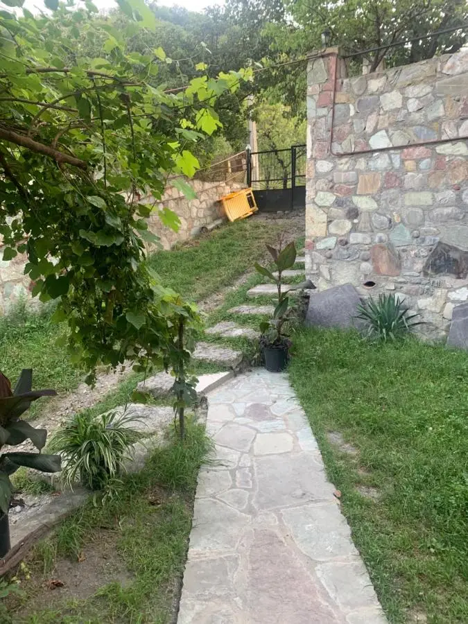 Panorama ananuri guest house