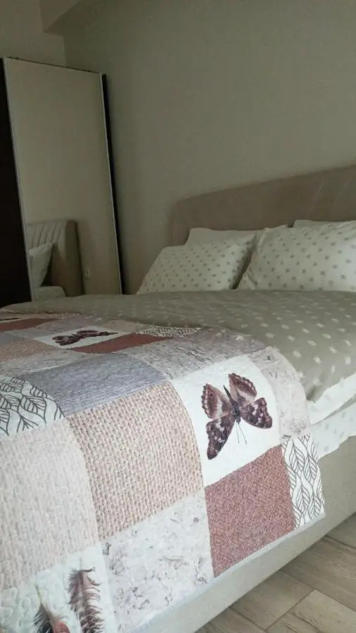 Sol's M2 White Modern Apartments