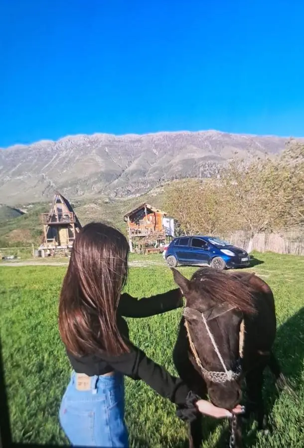 Life on the farm