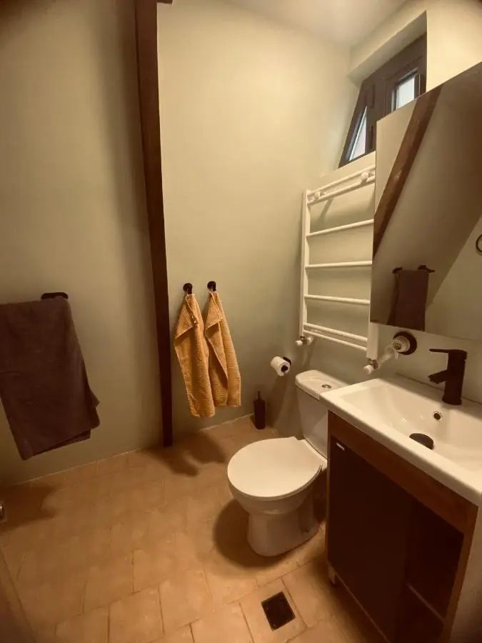 Wonderwood Borjomi Cottage