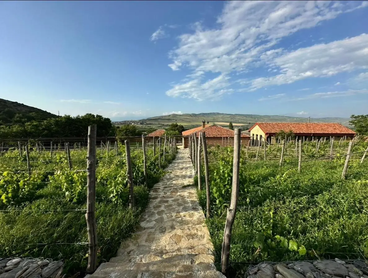 Peradze Wine Cellar Vineyard Cottages