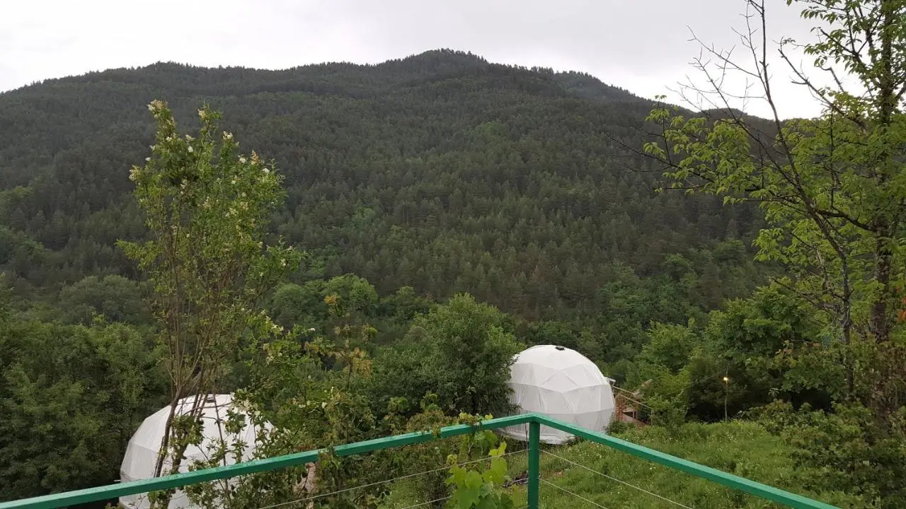 Glamping Georgia Krikhi