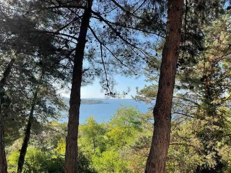 Sapanca Villa View Suite