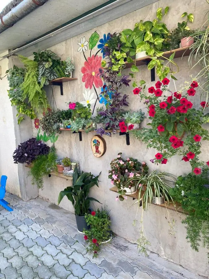 House of greenery