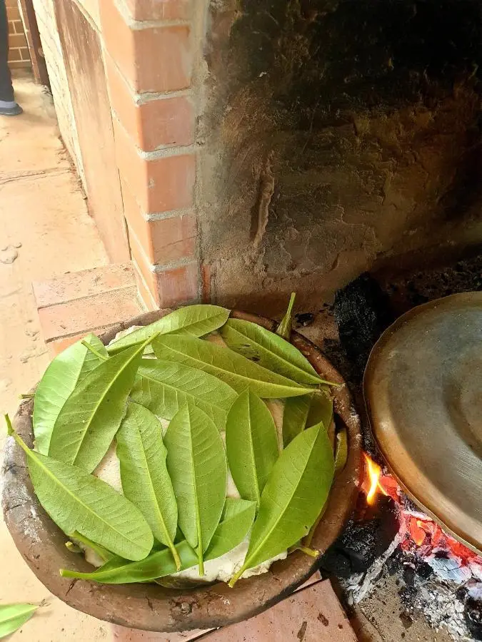 Agro Guest House Tsiskari in Machakhela