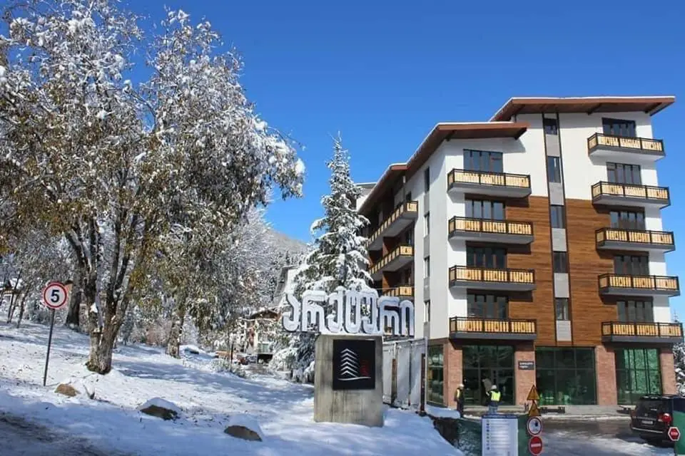 Bakuriani Apartment