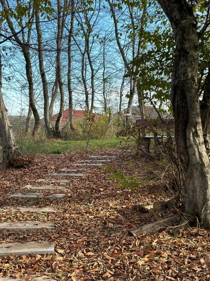 CHALET WOODS GUSAR