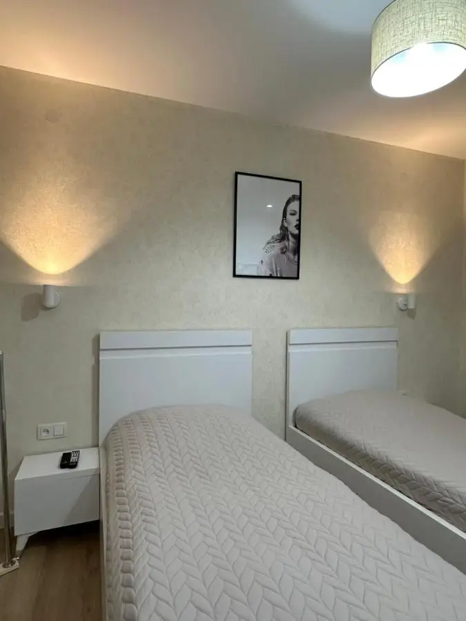 Modern apartment in Borjomi