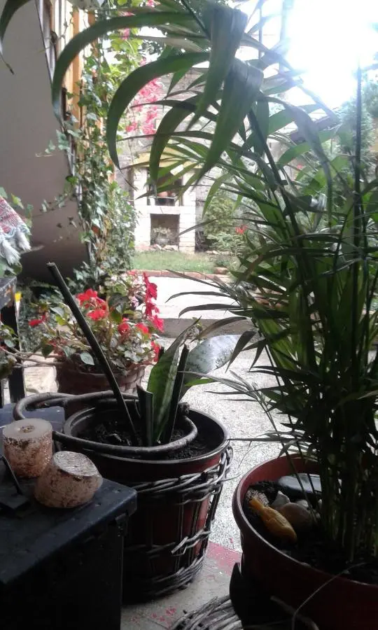 Apartment Centar