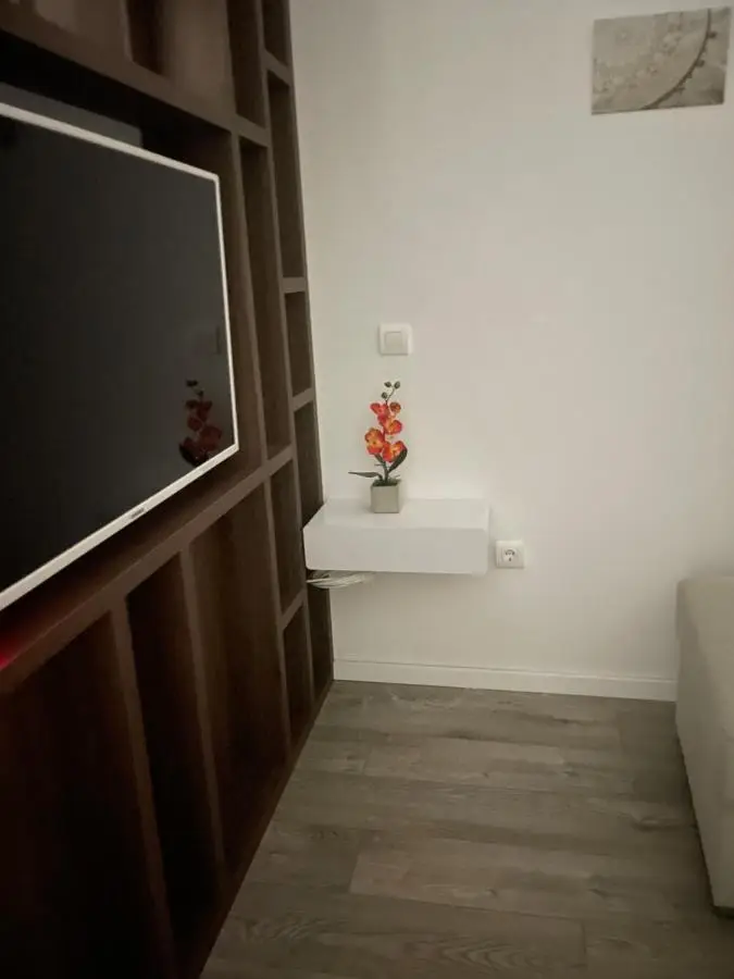 Apartments Studio Center
