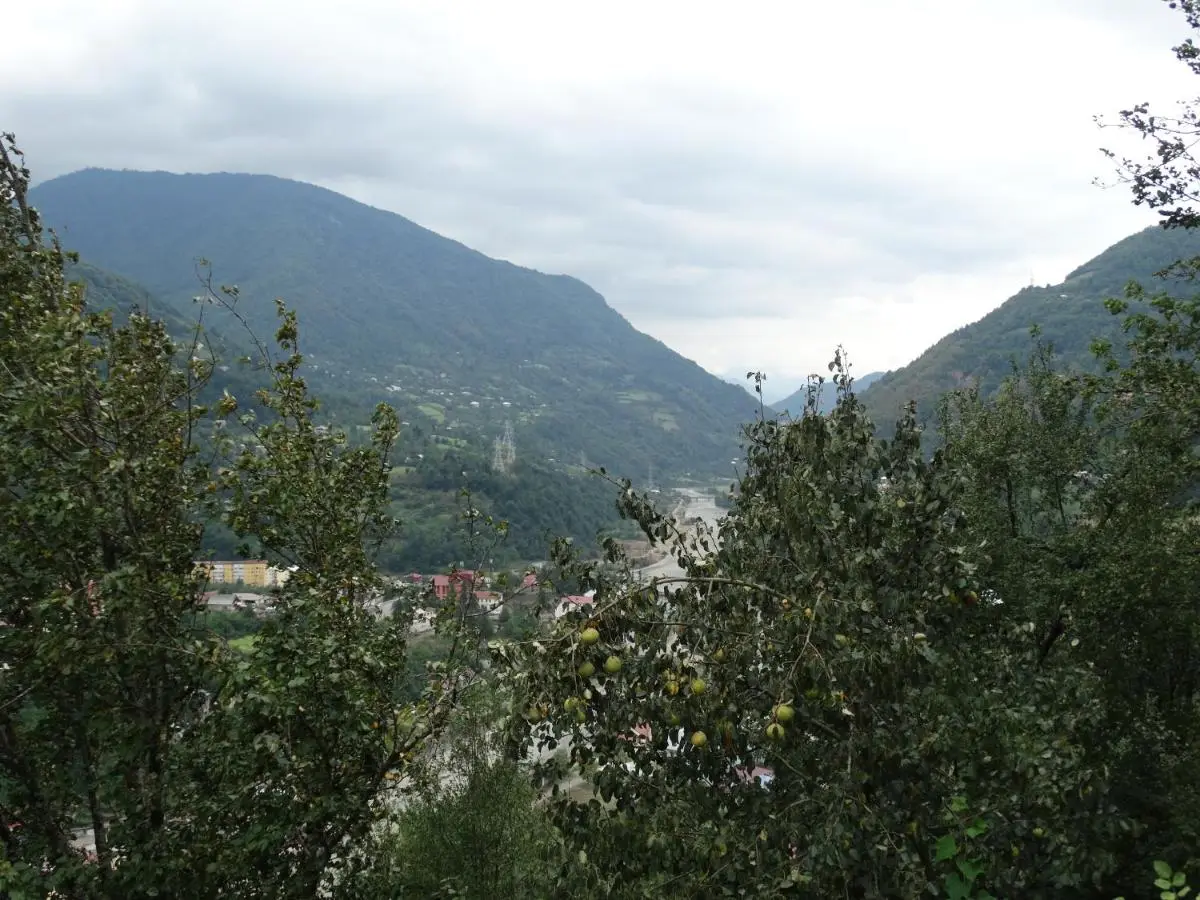 Rolandi's House