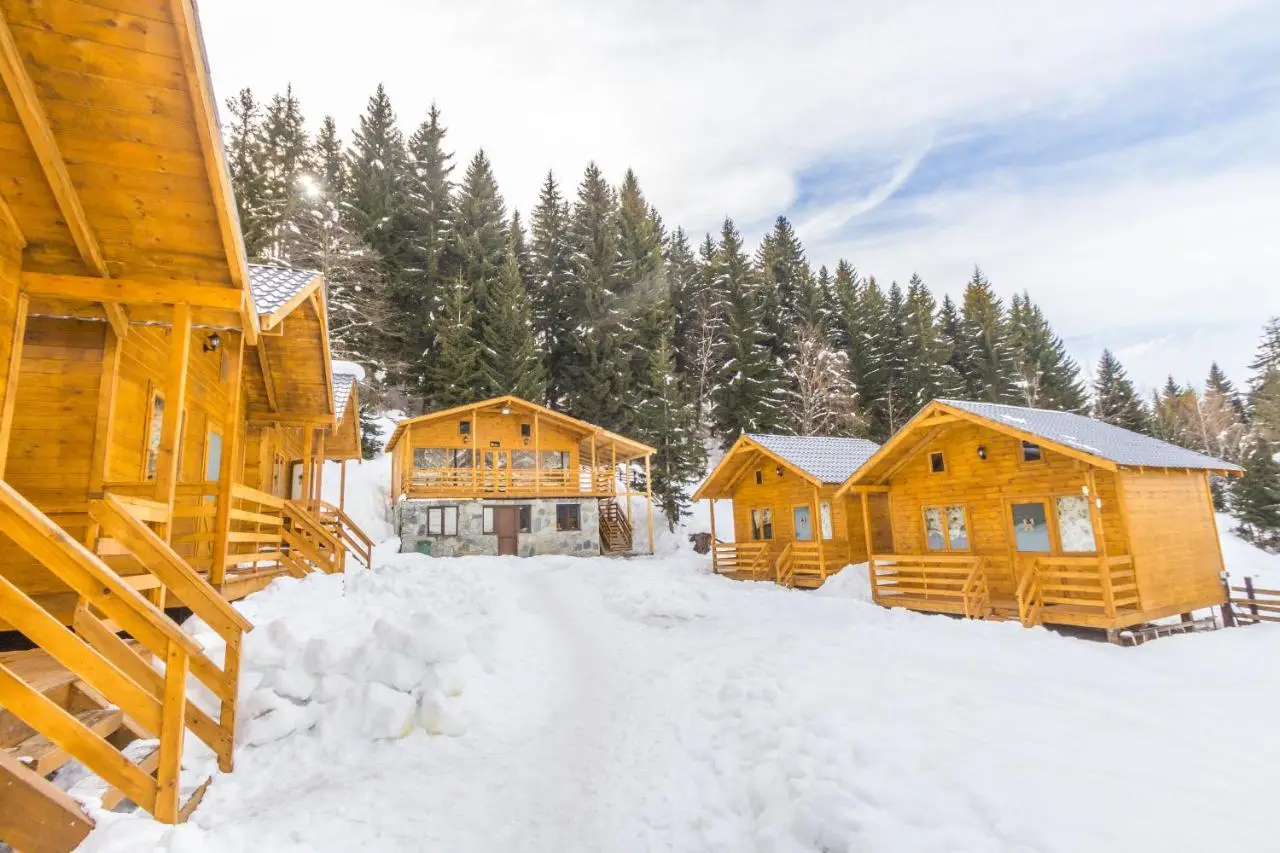 Mountain Cabins