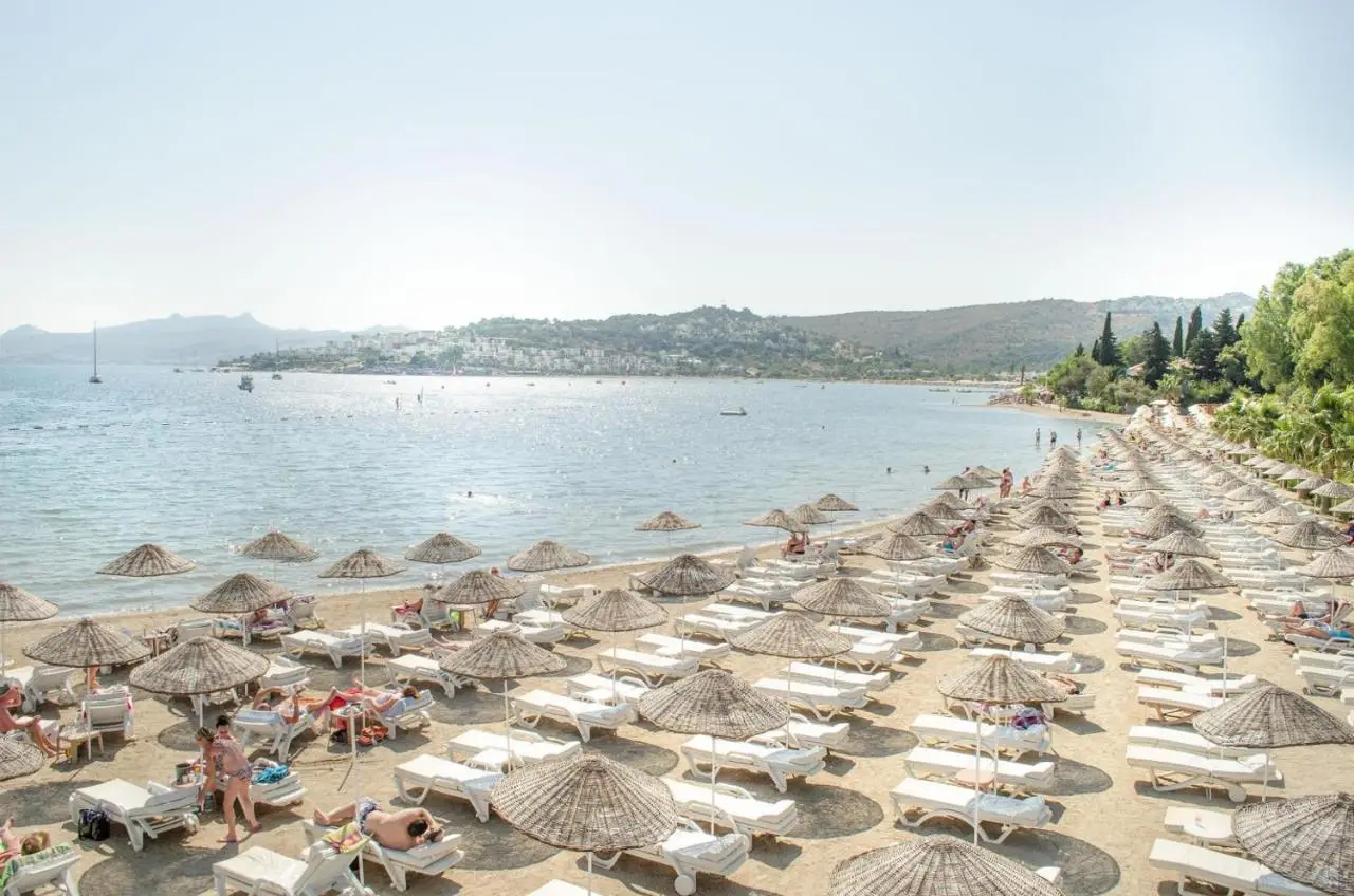 Ambrosia Hotel Beach & Spa