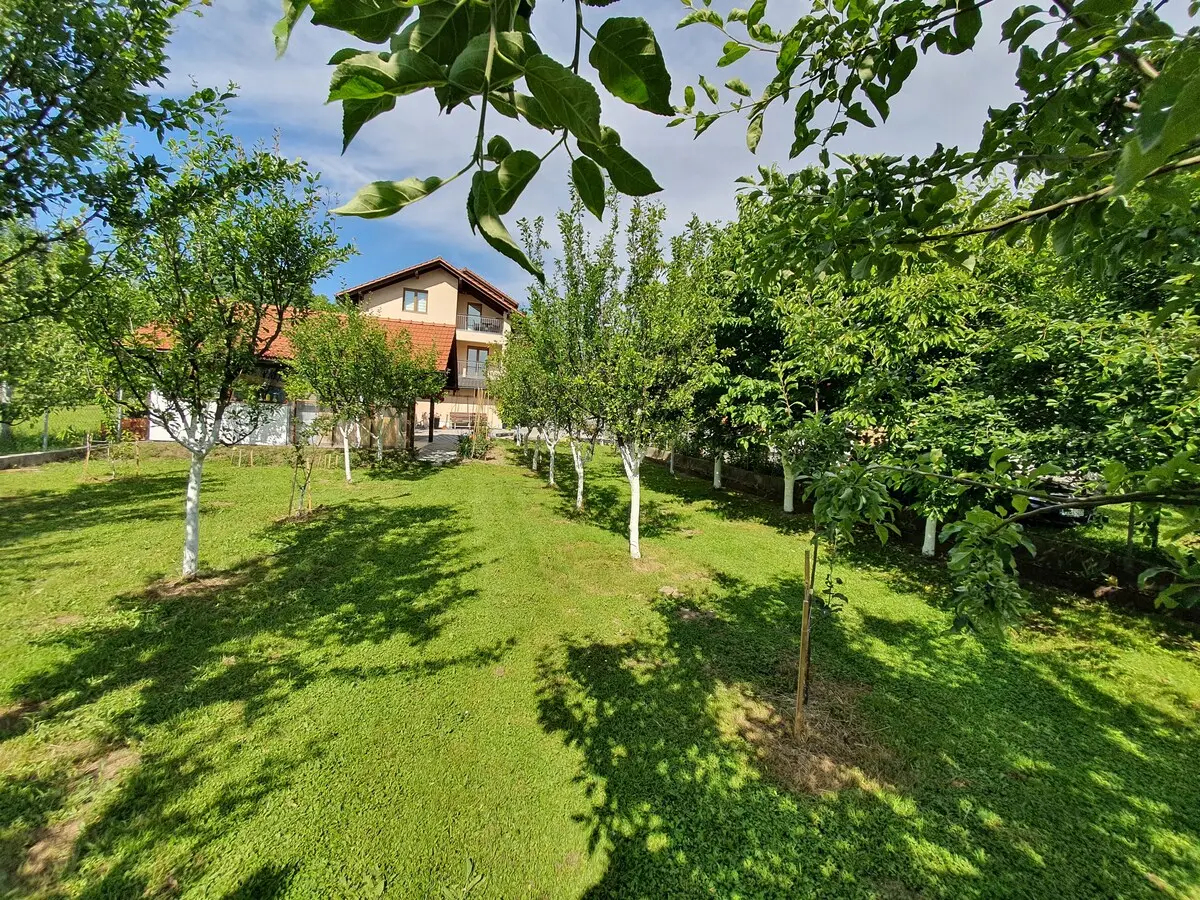 Karabegovic Appartment 1
