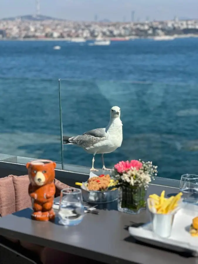 The Pera Bosphorus Hotel