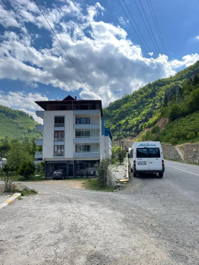 Yeşil ve huzur dolu bir daire