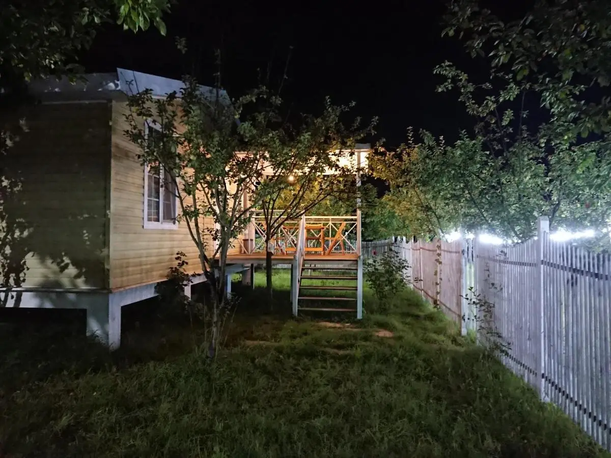 Our Garden
