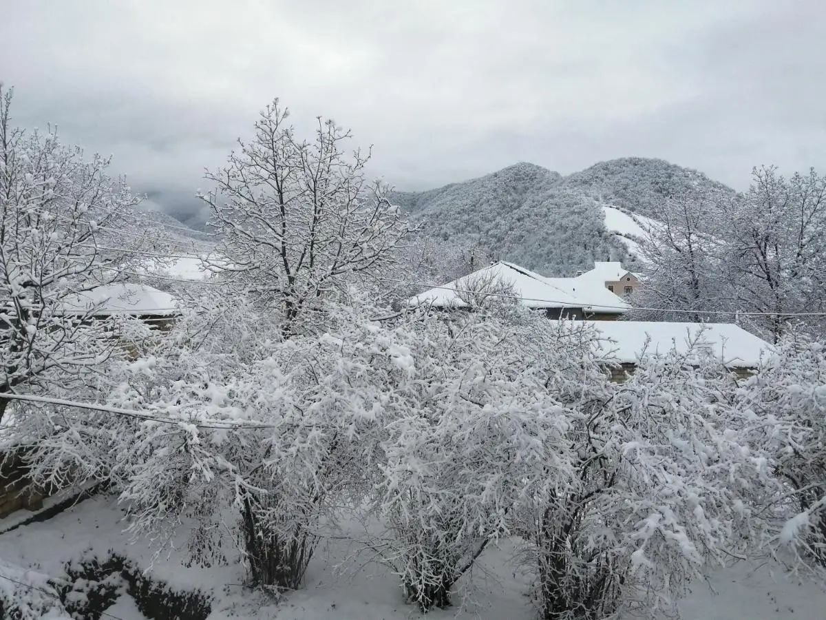 Gabala Dreams Villa with Large Garden
