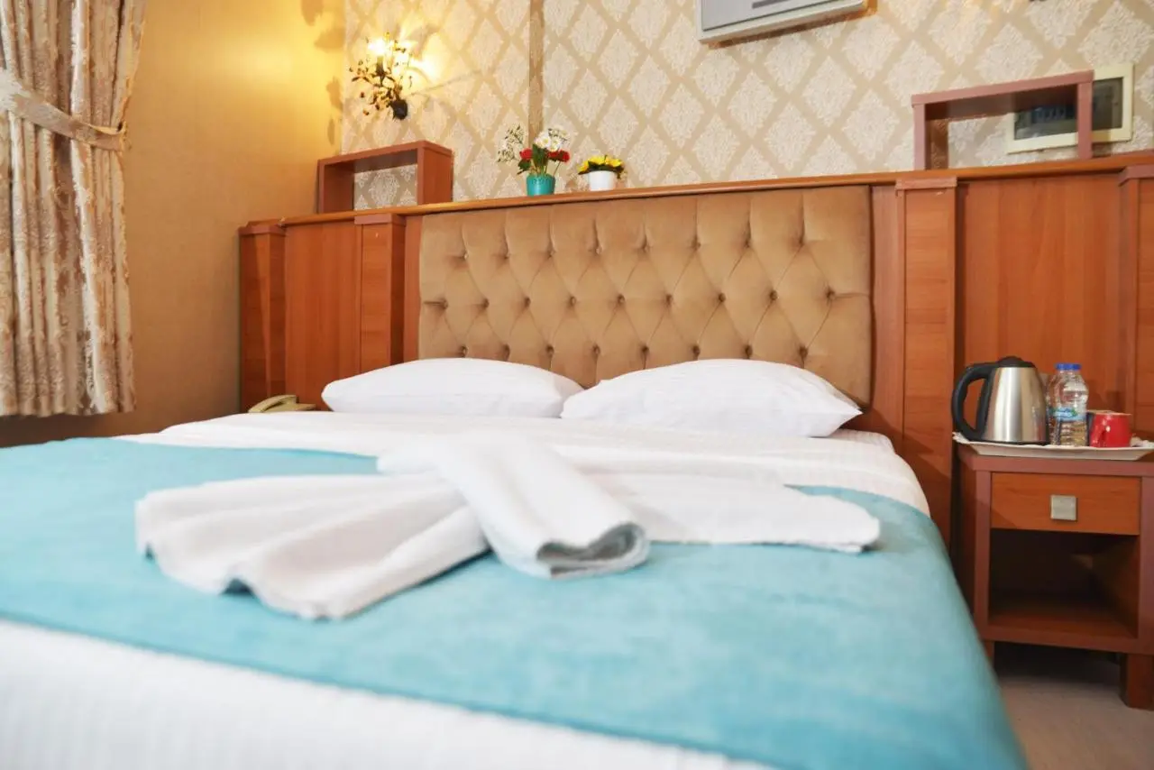 Old City Viva Hotel