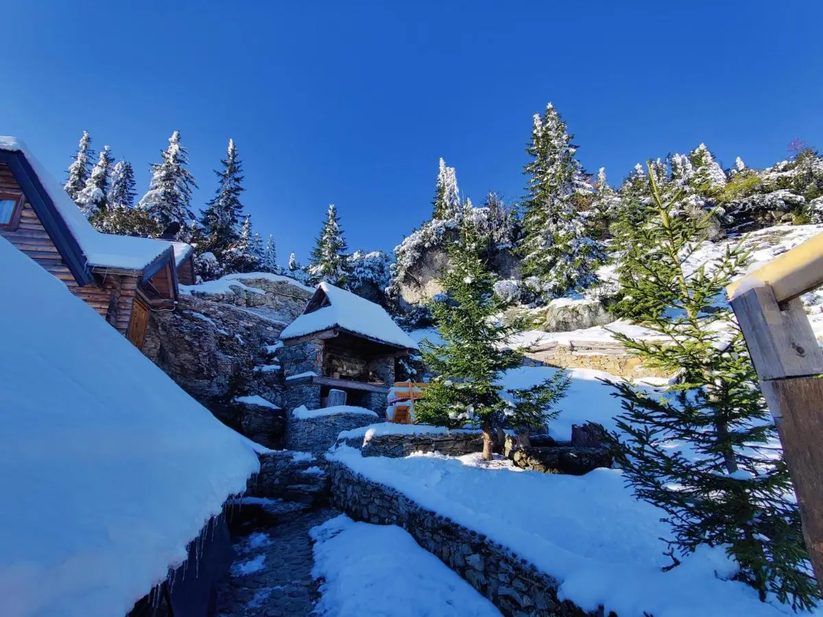 Prokosko Resort