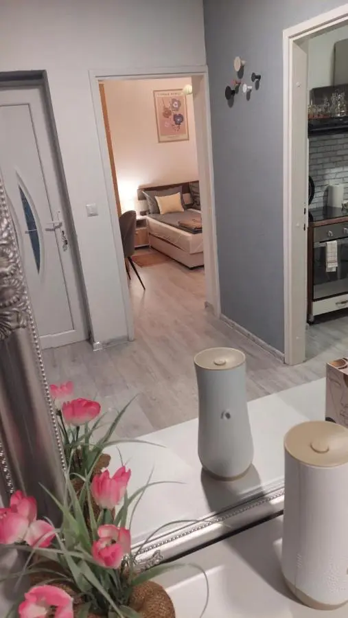 VIEW APARTMENT