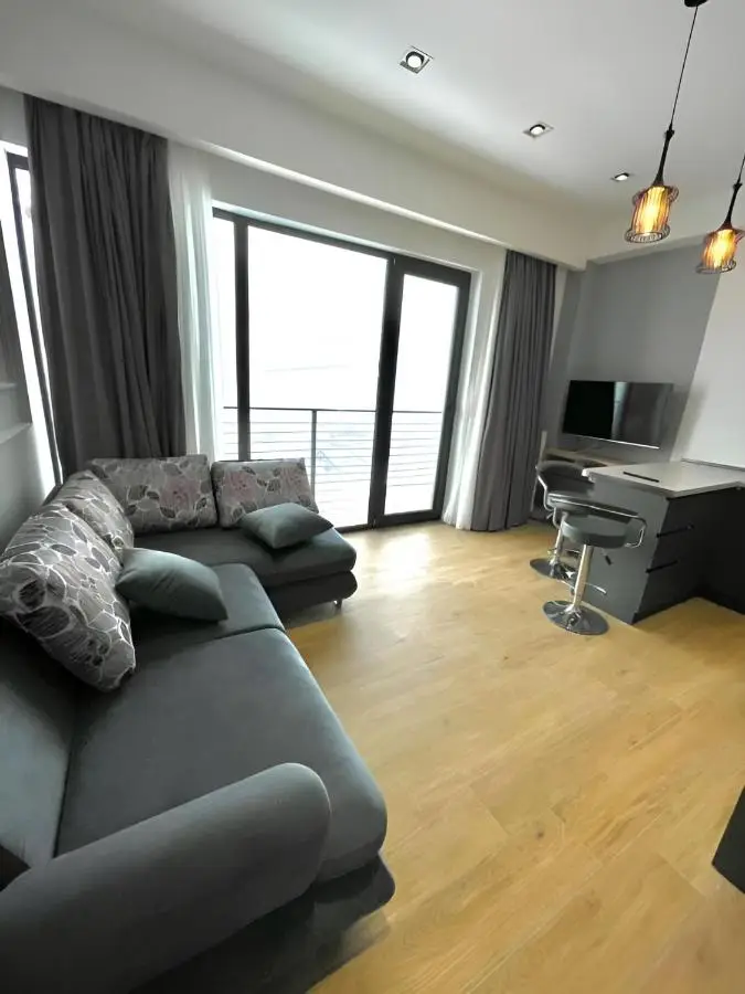 winter house GUDAURI