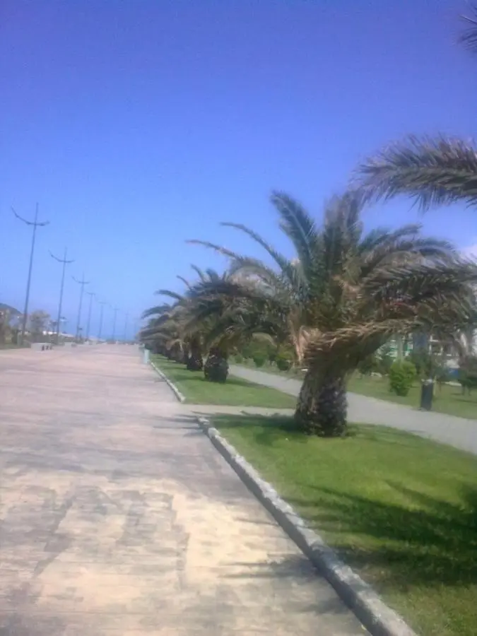 See view Apartment Magnolia 206
