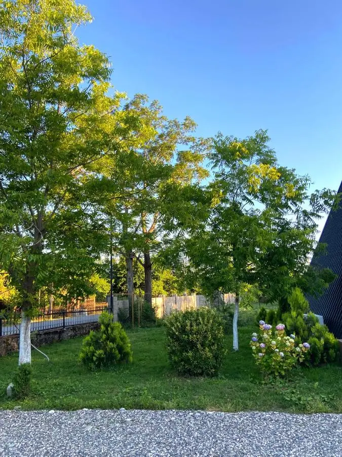 Chalet Martvili