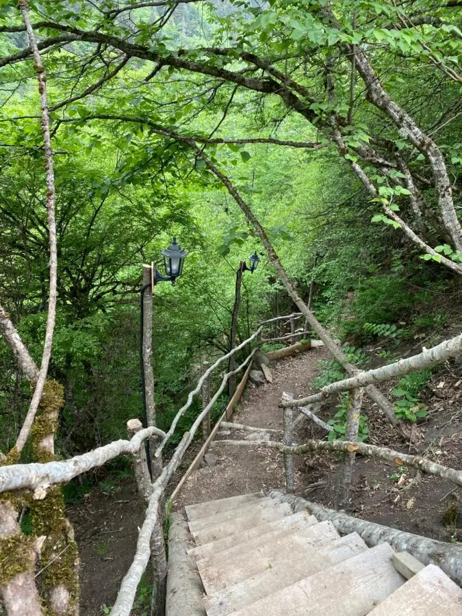 MTA house - Borjomi