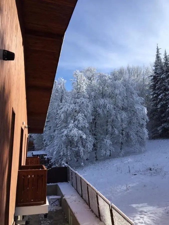 Fortuna Cottage Bakuriani