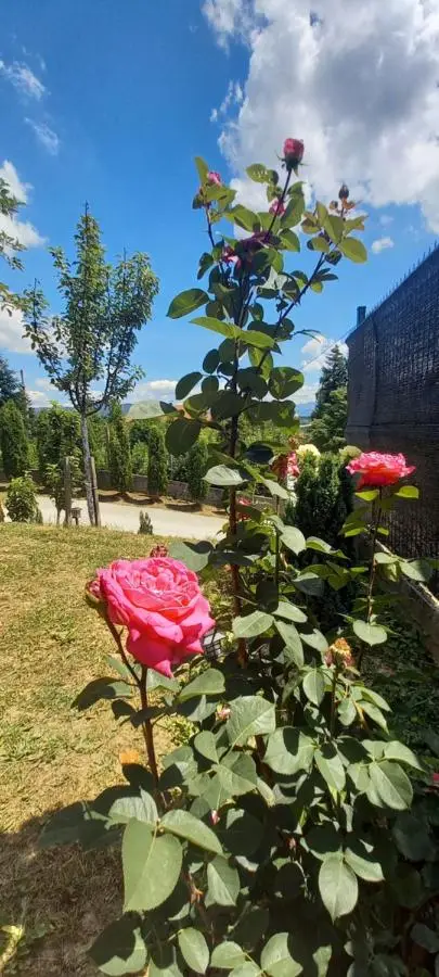 Villa for a large family