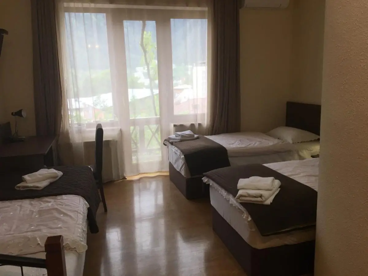 Hotel Victoria-Panorama