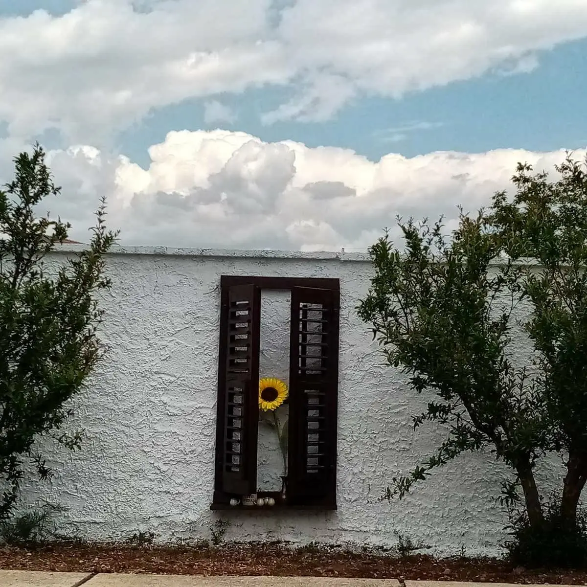 Vacation house "Guma" Mostar