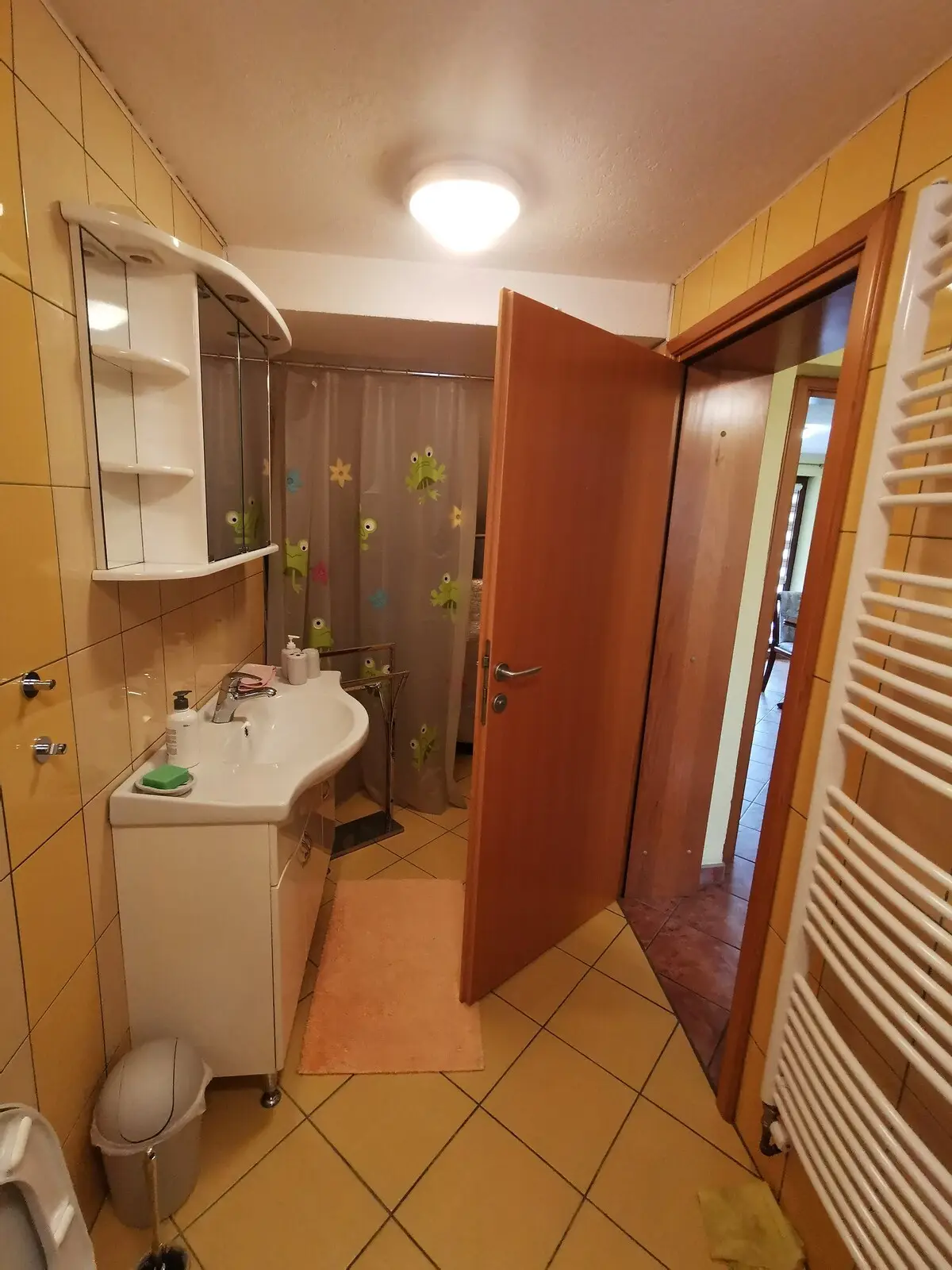 House in a quiet part of Ilidza