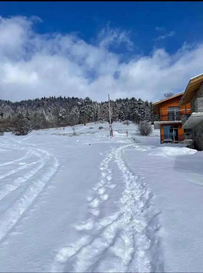 Luxury Villa in the heart of Bakuriani