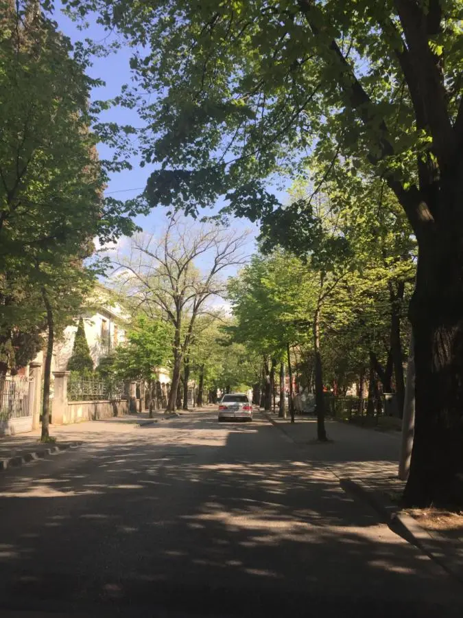 Apartment Eka