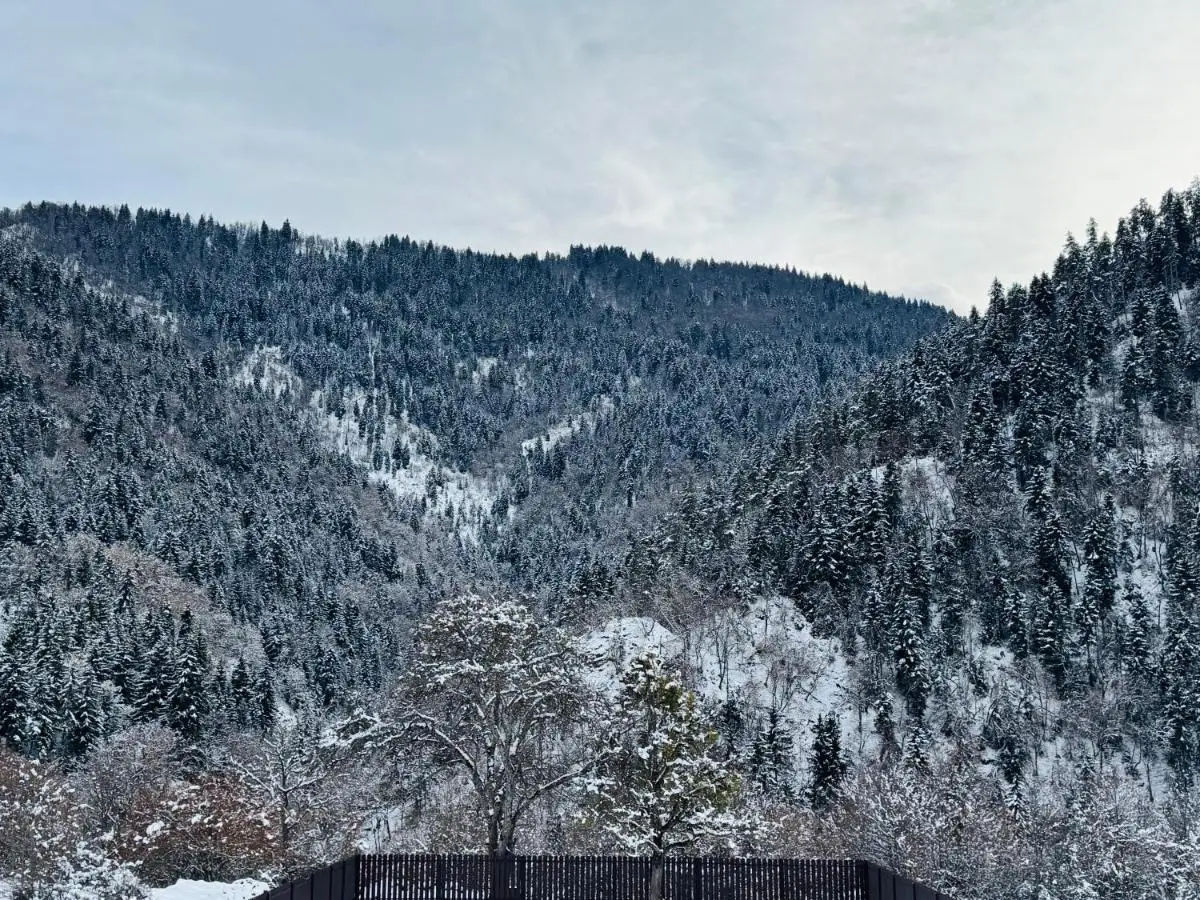 Buddy House Borjomi