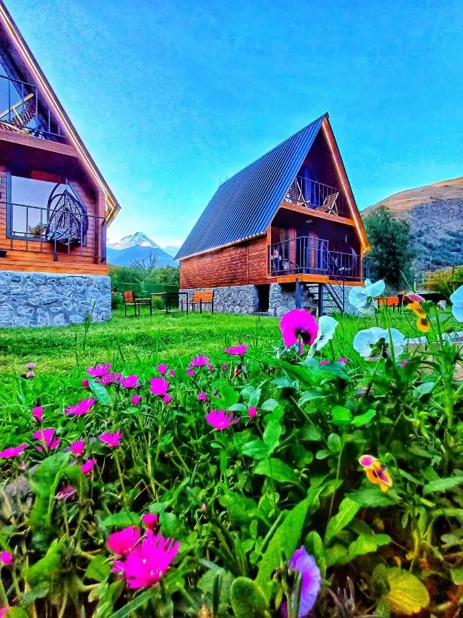 Panorama cottages Kazbegi