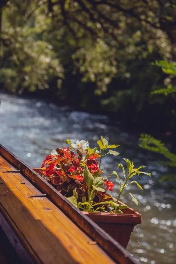 Rafting Kamp Dvije Vrbe