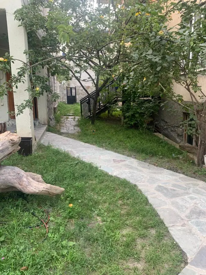 Panorama ananuri guest house