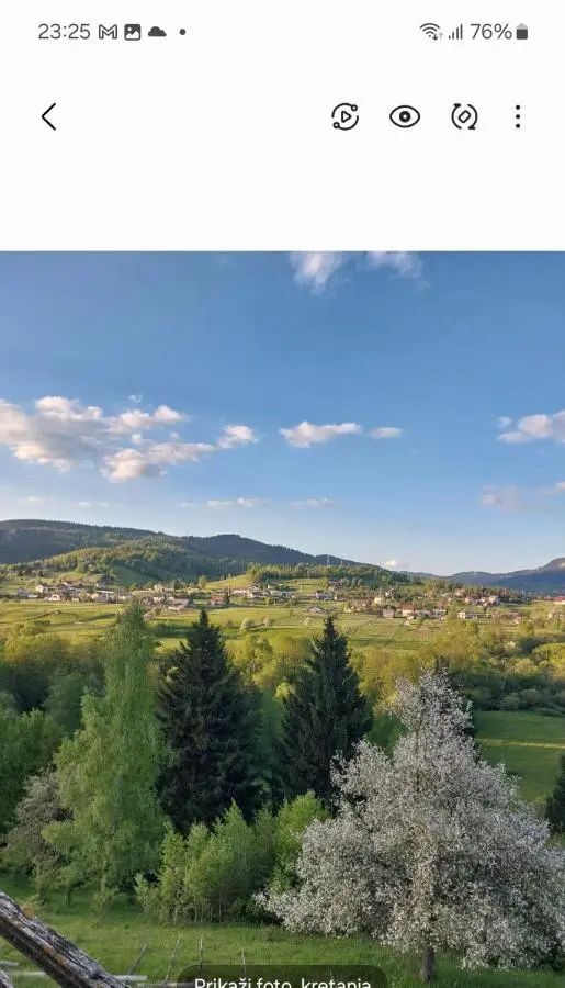 Vlajka