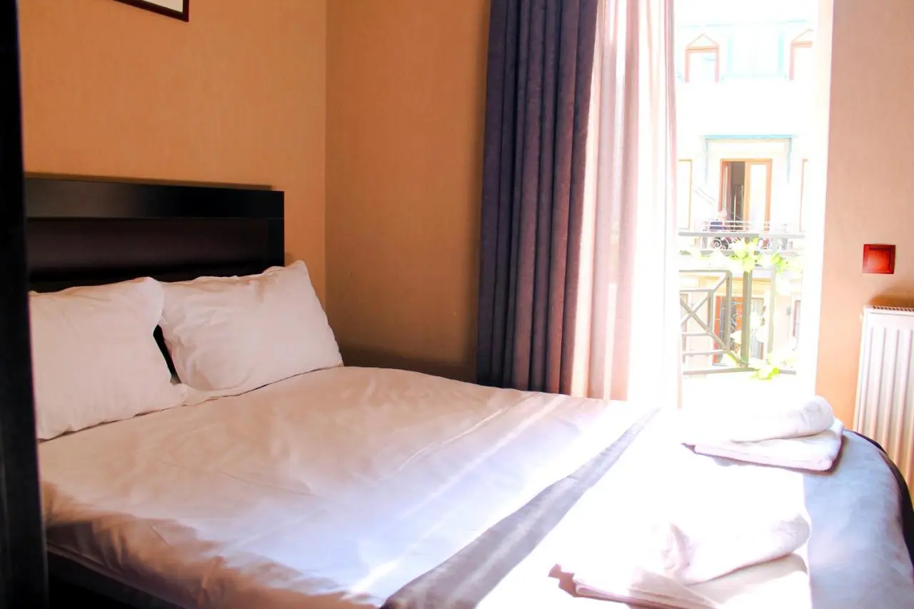 Hotel New Metekhi