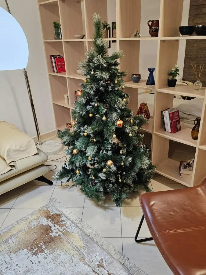 Tirana Center Apartment 12
