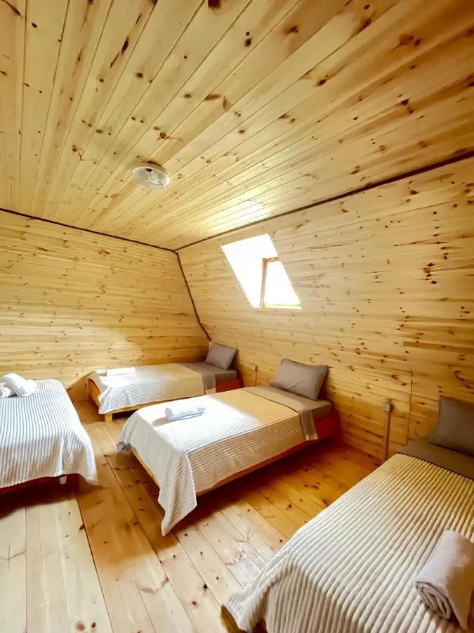 Guesthouse Driti