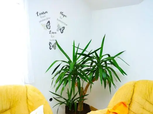 Apartman AS na jezeru