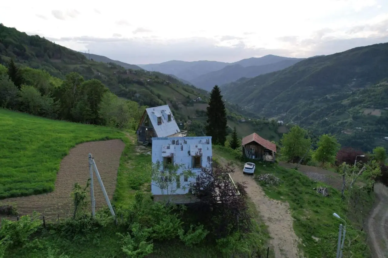 GREEN GUNDAURI