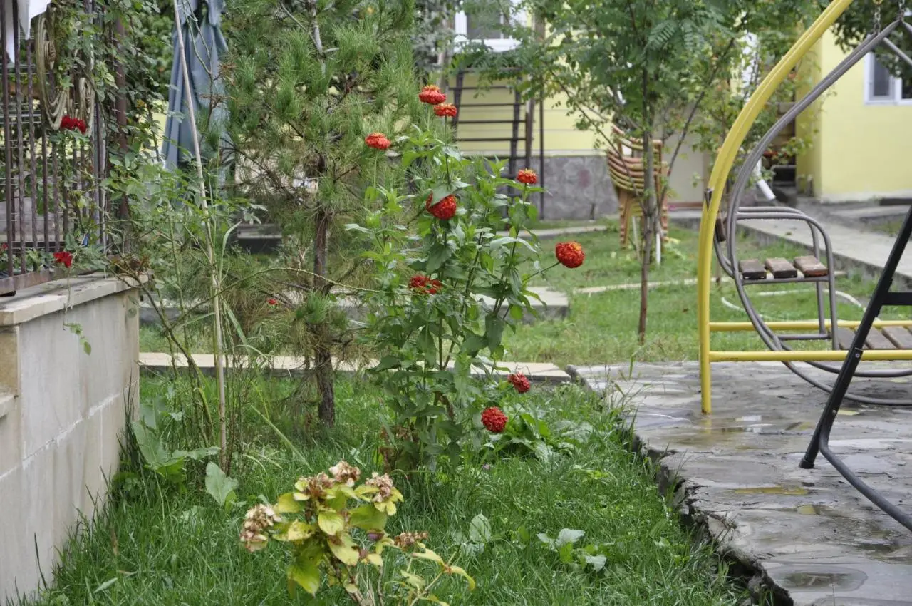 Apartments Firuze