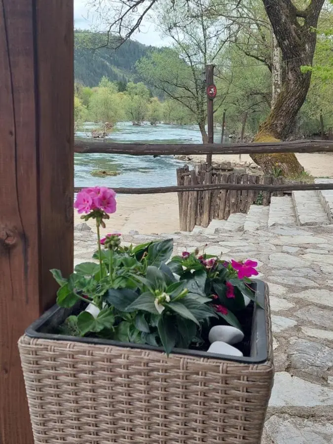 ATRIUM Holiday home